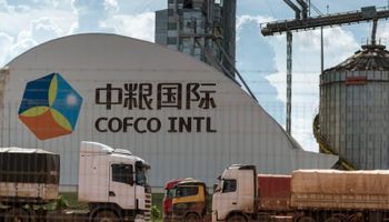 China no descarta comenzar a importar harina de soja argentina
