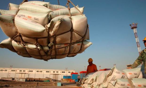 Operadores aseguran que China compró 600 mil toneladas de soja a Estados Unidos, siendo el mayor volumen desde junio.