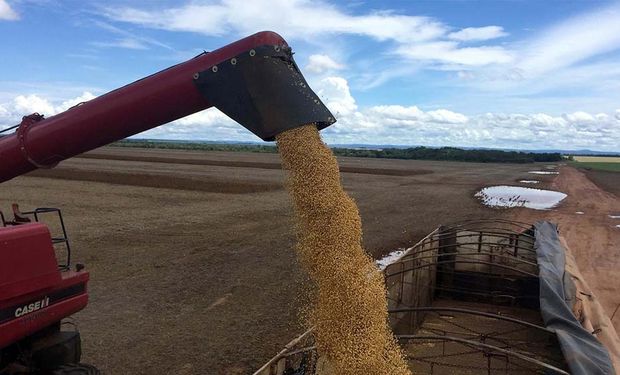 Para ganarle a la lluvia, productores de zona núcleo cosecharon 800.000 hectáreas en cuatro días