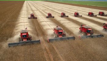 Con 112 millones de toneladas, Brasil volverá a duplicar la producción argentina de soja