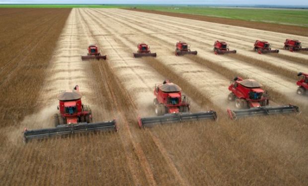 Brasil volverá a duplicar la cosecha de soja de la Argentina.