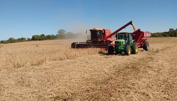 La Niña se va pero deja su marca: por bajos rindes, habrá menos soja que la esperada
