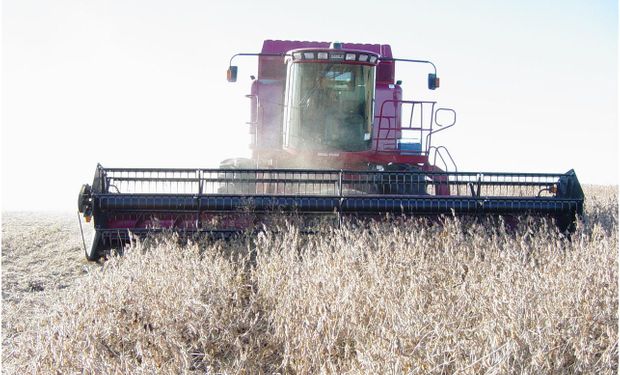 El clima golpea la cosecha de soja en Paraguay