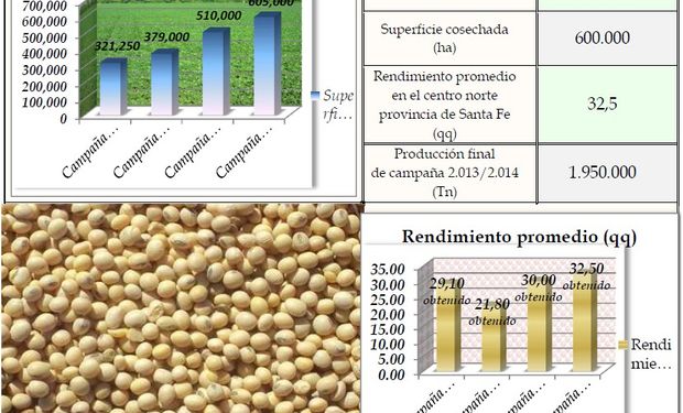 Soja de primera campaña 2013/2014. Fuente: BCSF