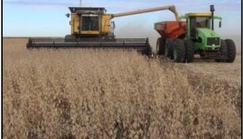 La soja de segunda que resta cosechar deberá esperar por unos días