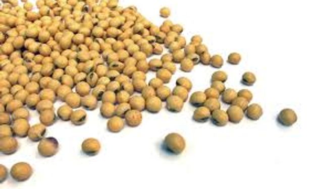Agricultores guardan soja para protegerse de la inflación