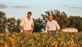 La nueva vida del "padre argentino" de la soja, que pasó de sembrar a mano a una empresa global de 3.500 personas: comenzó con actividades sociales y apuesta a otro cultivo
