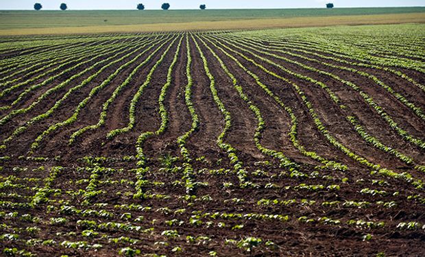 La siembra de soja en Brasil se acerca a su fin