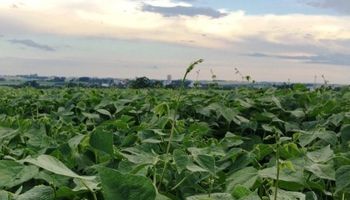 La preocupación por el clima en Argentina sigue apuntalando los precios
