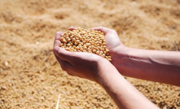 El mercado opera teniendo en cuenta las nuevas rebajas en las estimaciones de producción de soja argentina junto con las previsiones meteorológicas.