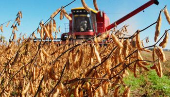 "No somos los productores los que retenemos los dólares"