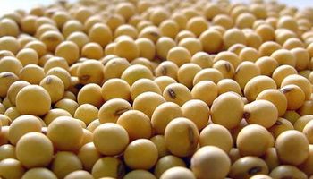 Ley de semillas: multiplicadores piden que se los incluya en el debate 