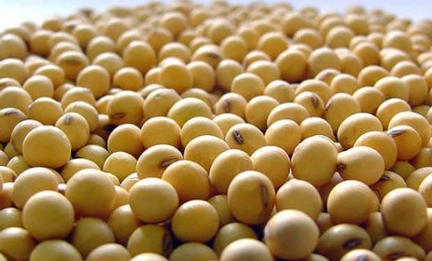 Casem pidió a Agroindustria que se incluya a los semilleros multiplicadores en el debate por la nueva ley de semillas.
