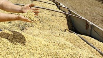 Principio de acuerdo entre Agroindustria y Monsanto