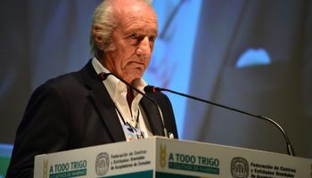 “En la próxima campaña la vedette va a ser la soja”