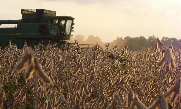 Informe de la Sociedad Rural Argentina (SRA).