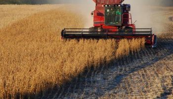 El menor ritmo de cosecha llevó a la soja al terreno positivo en CBOT
