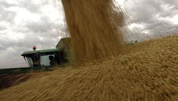 Soja: anticipan una menor demanda industrial