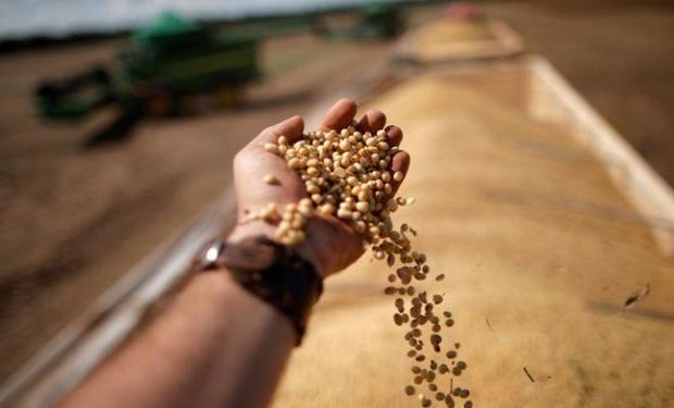 En Brasil, productores ya vendieron más de la mitad de la soja que aún ni se sembró: a qué precio se negocia