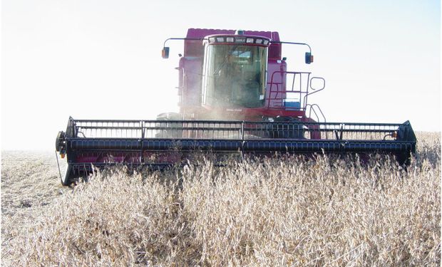 El rango de las proyecciones fue de 97 a 102 mill./t.