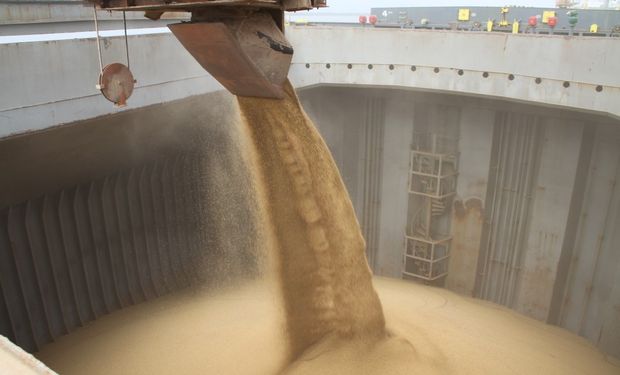Las exportaciones de los Estados Unidos están teniendo dos perfiles distintos para la cosecha vieja y para la nueva.