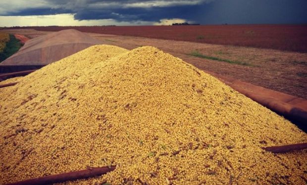 En Mato Grosso se recolectó un 16% de la oleaginosa.