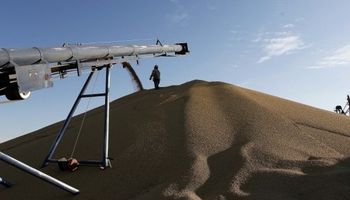 Soja en Chicago: saldo positivo a pesar de la importante oferta