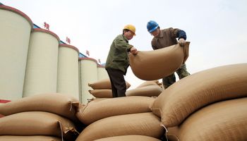 China apuesta más a la soja sudamericana