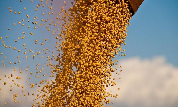 El año pasado, para la soja del norte de país, Monsanto instrumentó un control en puertos y acopios para asegurarse el cobro de un canon.