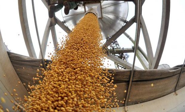 En una jornada muy negativa para el valor de los granos en Chicago, la soja  cayó un 5,6% - LA NACION