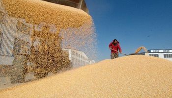 Estados Unidos: grandes stocks de granos presionan al mercado