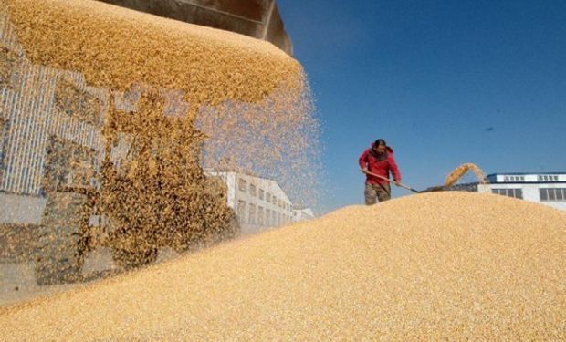 Farmers enfrentan problemas de almacenamiento.