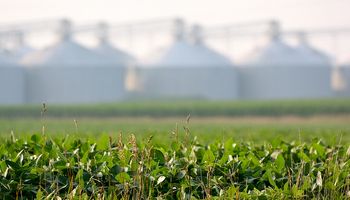 Preocupación de los farmers
