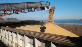 China "alentará" compras de soja de otros países por la guerra comercial