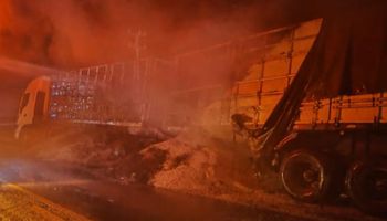 Raio mata dez bois no Amazonas e incêndio destrói carga de soja em Mato Grosso