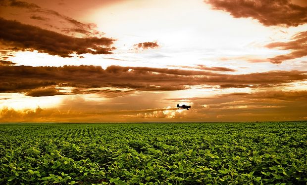 El tipo de cambio y los impuestos preocupan a los empresarios del agro