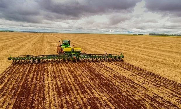 Goiás inicia plantio da soja com foco em novo recorde e aposta em nova fronteira agrícola