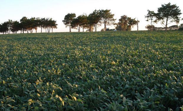 Apuntan a mejores prácticas agrícolas.