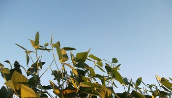 Se espera un aumento de las temperaturas con viento del norte y humedad 
