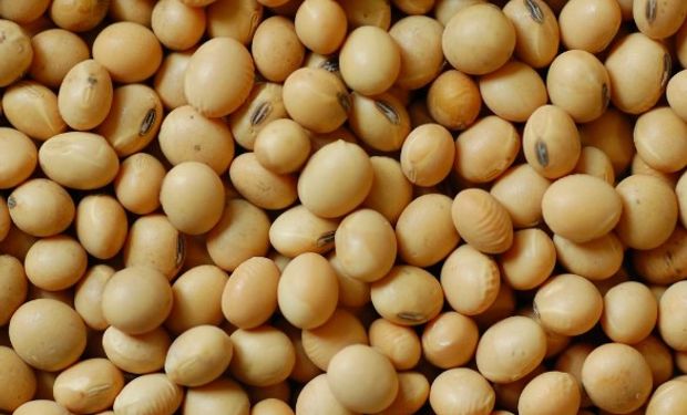 Más de 26.000 toneladas de soja No GMO partieron con destino a Rusia.