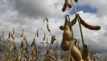 Las zonas más comprometidas luego de las lluvias