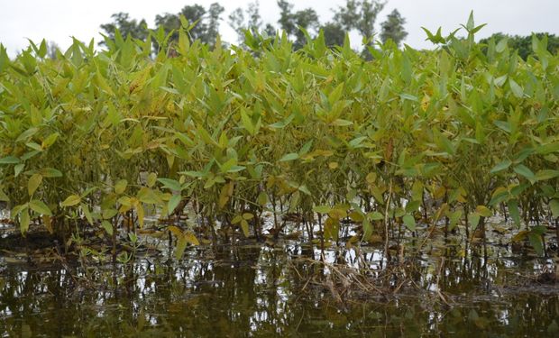 Avanzan las lluvias: en qué zona se esperan los máximos pluviales