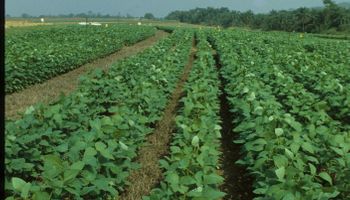 Noticias agrícolas del día