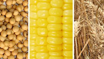Noticias agrícolas del día
