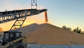 Precio de la soja: los fondos apuestan a un recorte del 23,8 % en los stocks finales de Estados Unidos