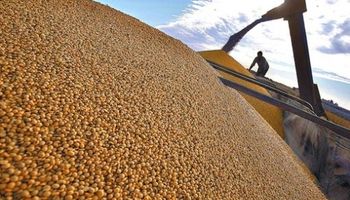 Margen bruto de la soja cae 81% en campo arrendado