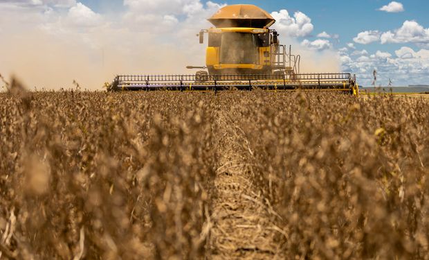 Redução na importação de fertilizantes expõe ainda mais o drama do produtor em MT: "momento é delicado"