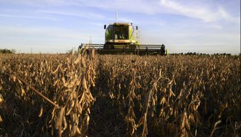 Con la sequía argentina como protagonista: importantes subas para la soja y el maíz en Chicago contagiaron al mercado local