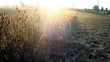 Mercado climático sigue presente con subas para la soja
