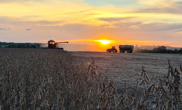 Récord: a qué precio venden la soja los productores en Brasil